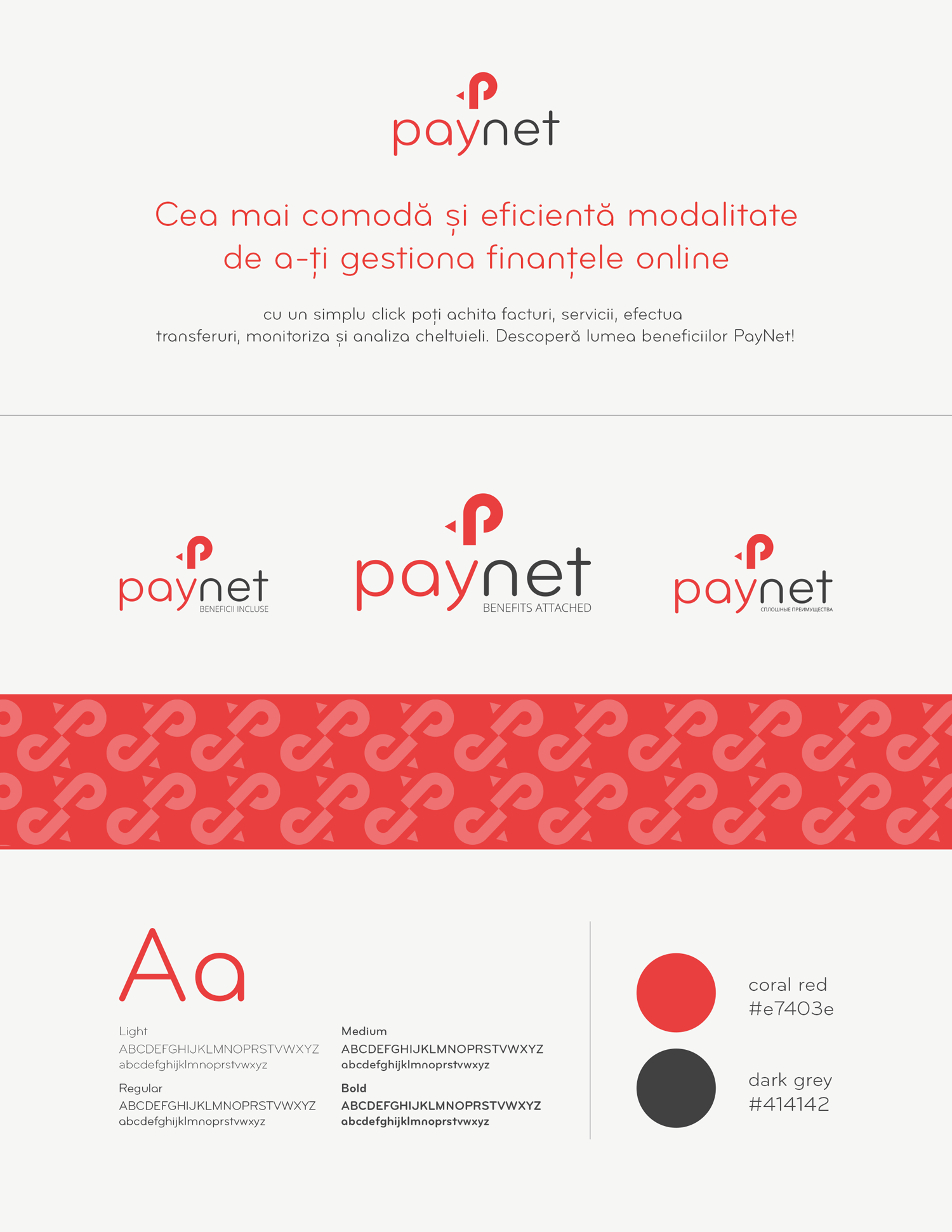 paynet--1